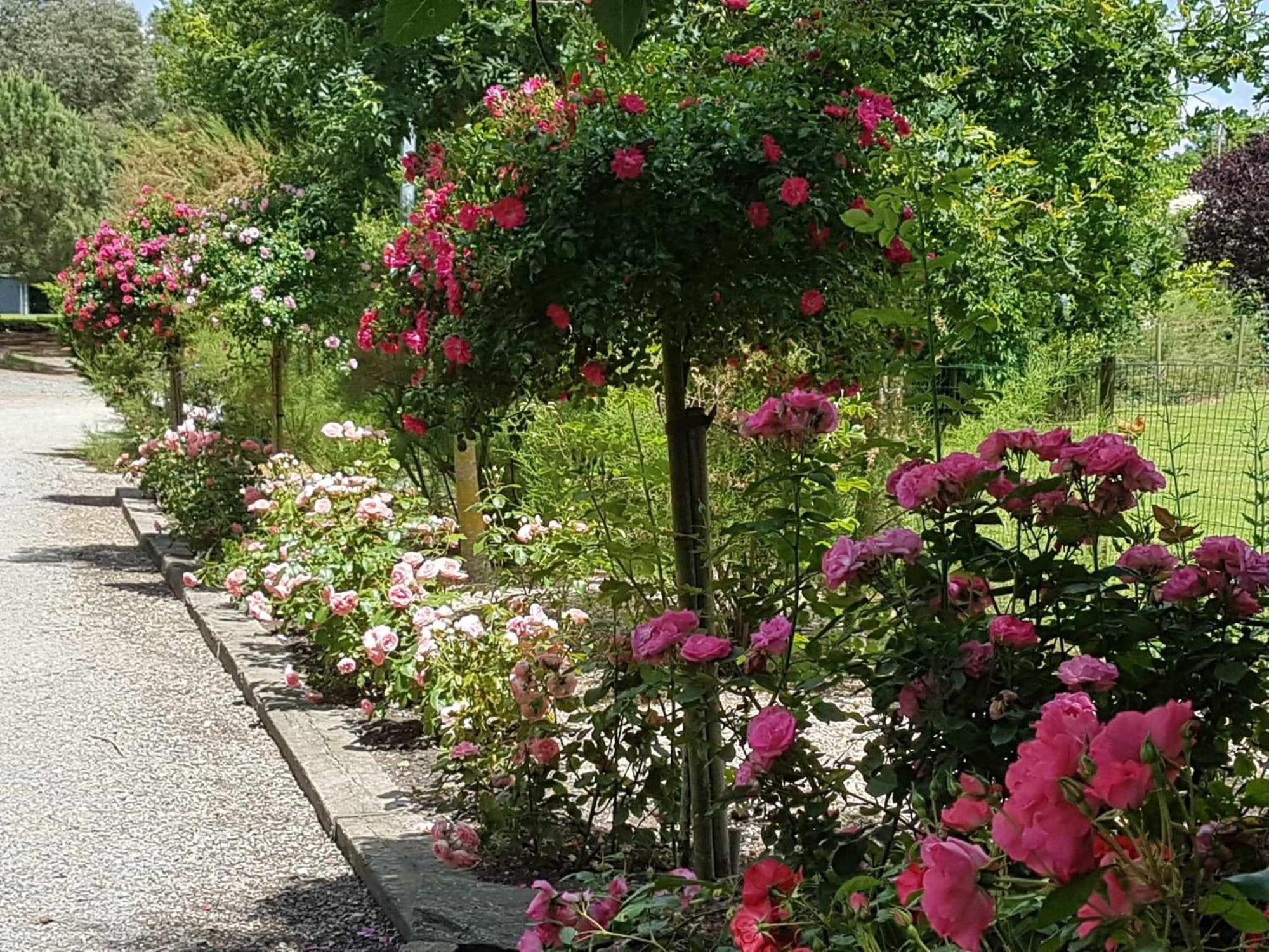 Villa Domaine Les Rousselieres Olonne-sur-Mer Esterno foto